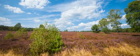 Heidecamping Gerdehaus