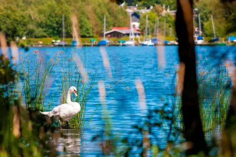 Nieder-Mooser-See
