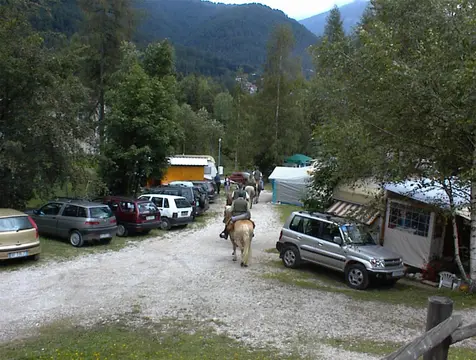 Camping Al Pez