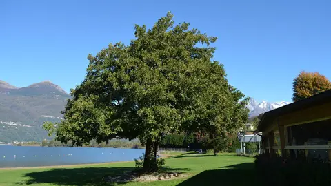 L'Ontano camper area