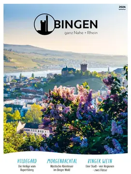 Wohnmobilpark Bingen