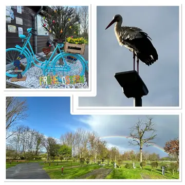 Wohnmobilpark Bingen