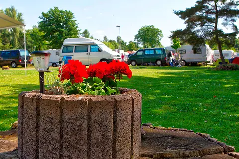Campingplatz Geisenheim