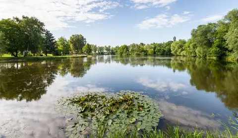 Campingplatz Ludwigsee