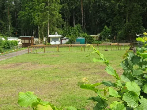 Naturcampingplatz am Berwartstein