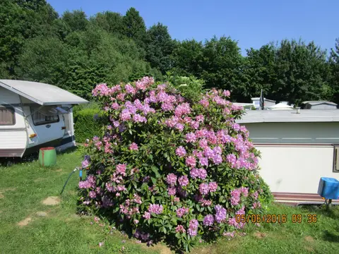 Familiensport-Naturistenbund Hameln