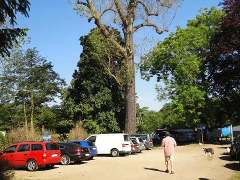 Kanu-Feriencamp Weitendorf