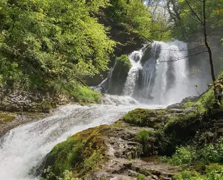 Camping du Bois de Reveuge