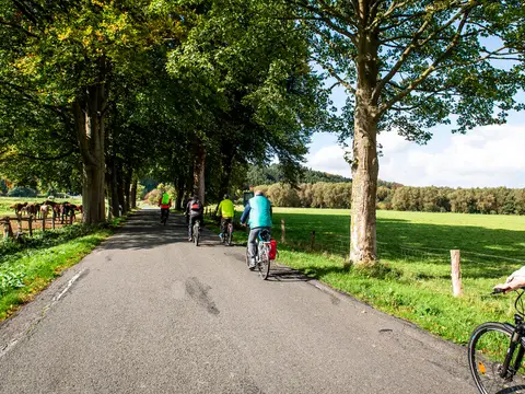 Jammertal Wellness Camping