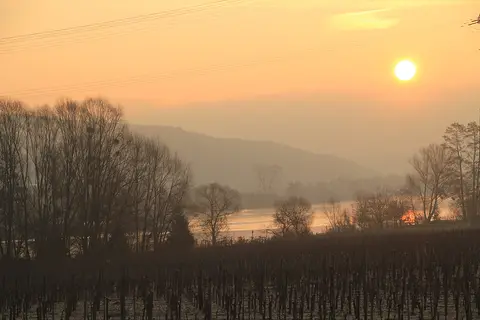 Weingut Feiten Stellplatz