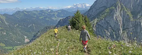 Camping Saint-Disdille
