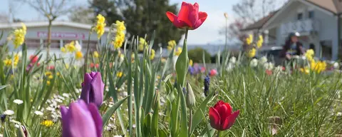 Camping Saint-Disdille
