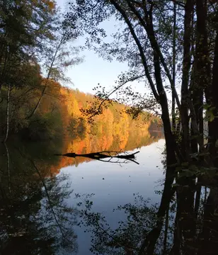 TZ Vlčice