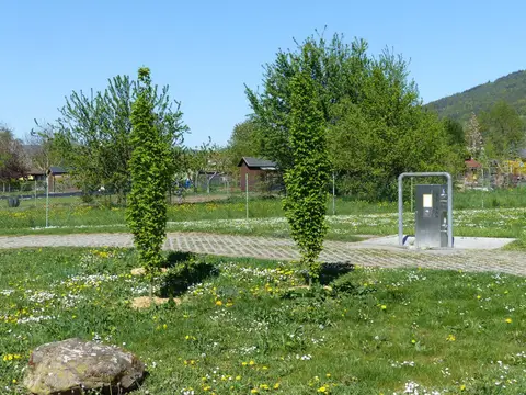 Wohnmobilstellplatz Bürgstadt