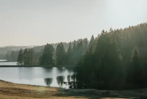 Wildwood Camping Harz