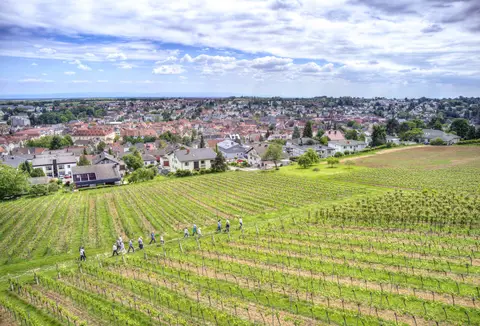 Stellplatz Weingut Hitziger