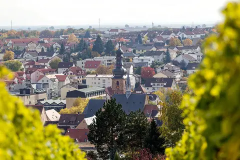Stellplatz Weingut Hitziger
