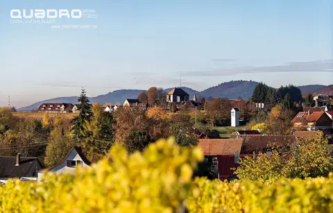 Stellplatz Weingut Hitziger
