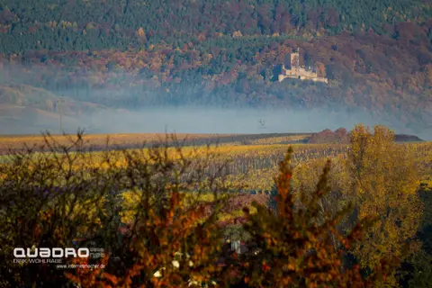 Stellplatz Weingut Hitziger