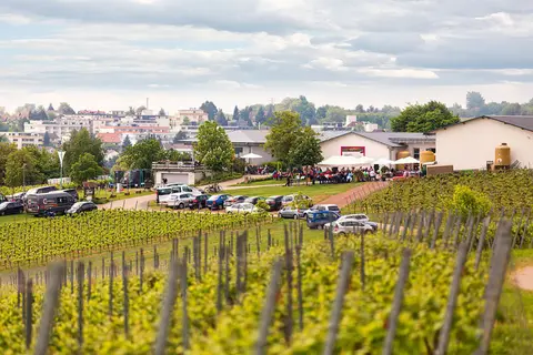 Stellplatz Weingut Hitziger