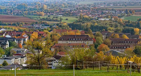 Stellplatz Weingut Hitziger