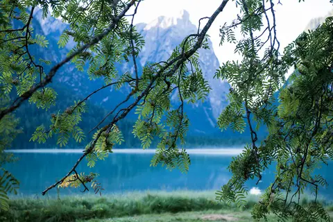 Camping Lago di Dobbiaco - Toblacher See