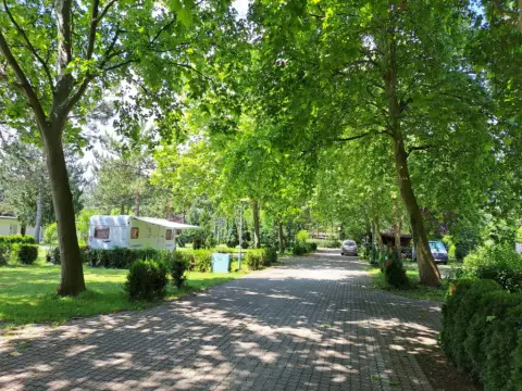 Camping-Paula