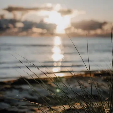 Wildwood Camping Rügen