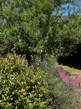 Camping "L'Arc en Ciel"