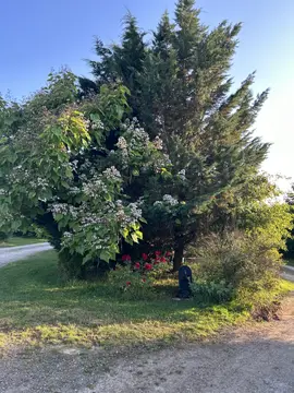 Camping "L'Arc en Ciel"