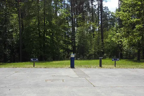 Ecktannen