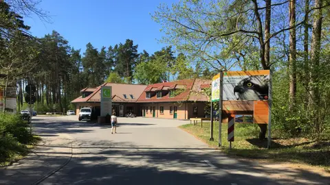 Ecktannen