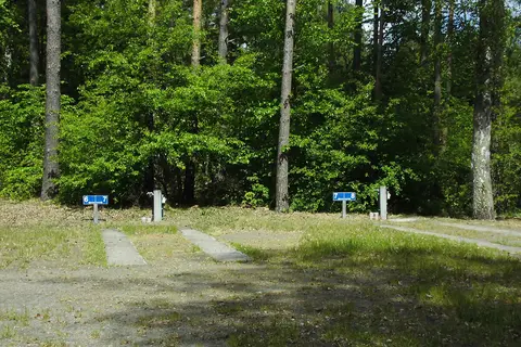 Ecktannen