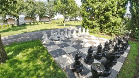 Triocamp