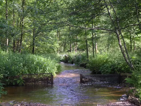 À l'Eau Vive