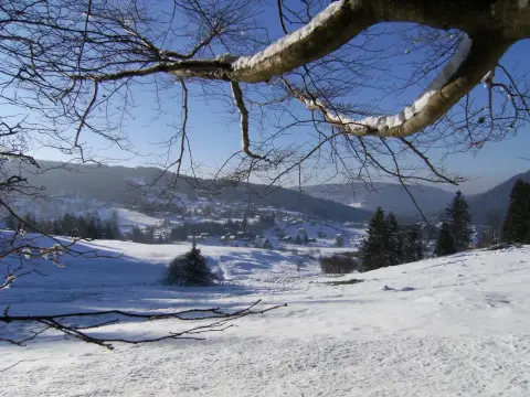À l'Eau Vive