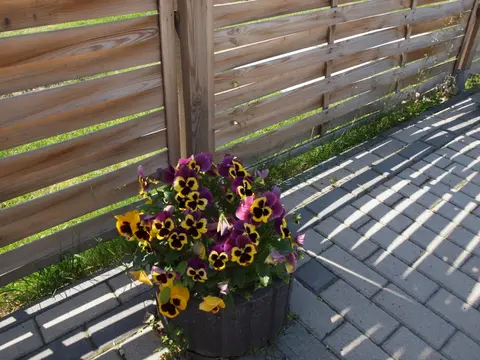 Camping Wrocław