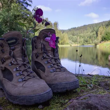 Naturcamping Langenwald