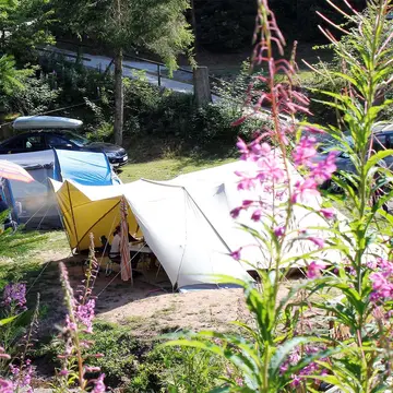 Naturcamping Langenwald