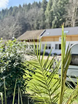 Camping Alpirsbach