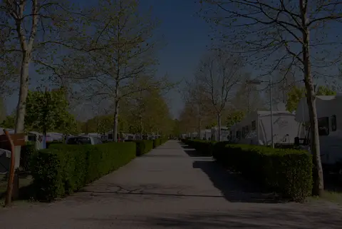 Várkert Termál Camping