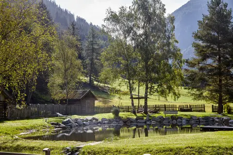 Mountain Camp