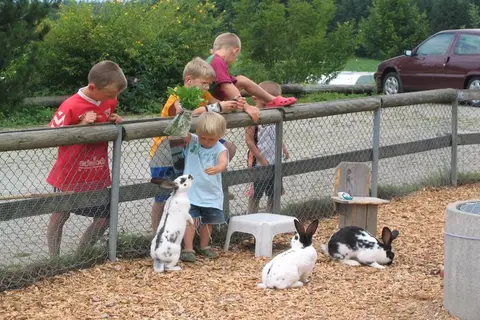 Camping Waldhof