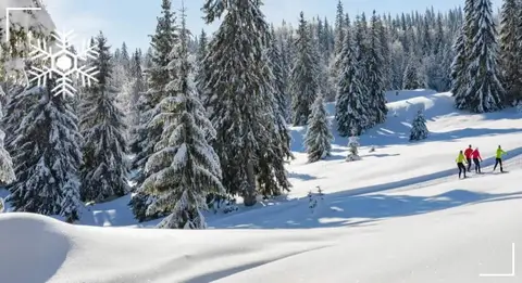Le Champ de Mars