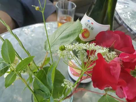 Camping auf Grietherort