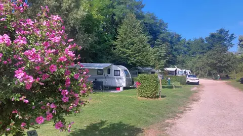 Camping La Jonquille