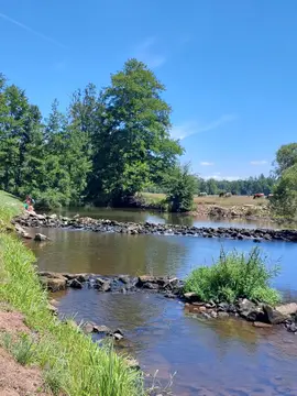 Camping La Jonquille