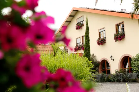 Wohnmobilstellplatz Weingut Villa Hochdörffer