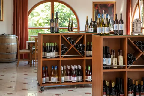 Wohnmobilstellplatz Weingut Villa Hochdörffer
