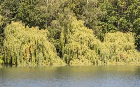 Camping am See